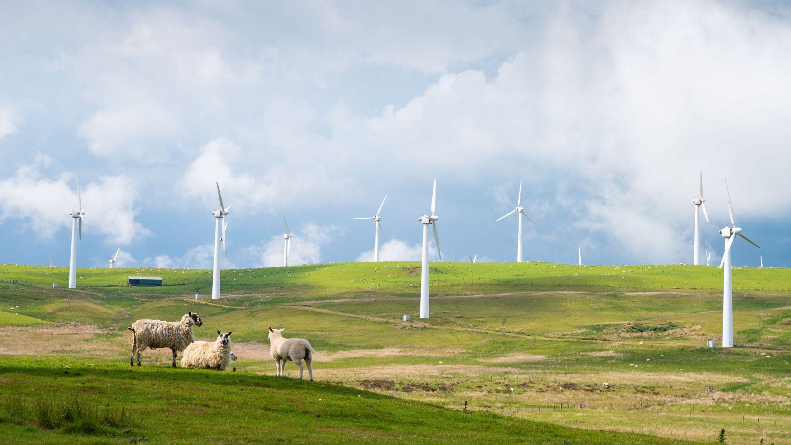 M&A and Debt Advisory